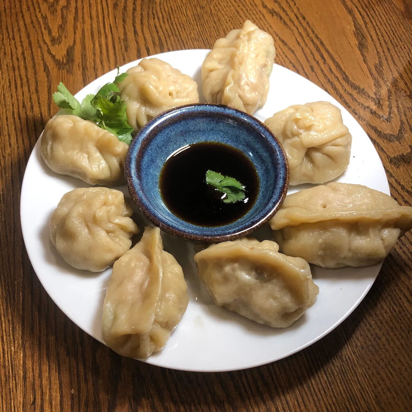 Beef potstickers